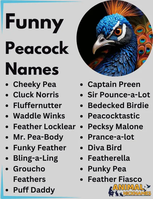 Funny Peacock Names