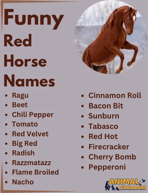 Funny Red Horse Names