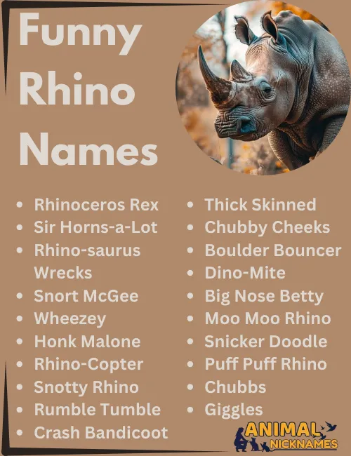 Funny Rhino Names