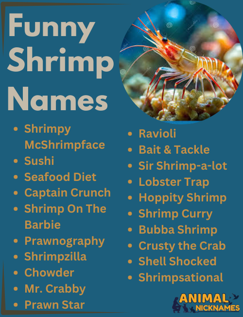 Funny Shrimp Names