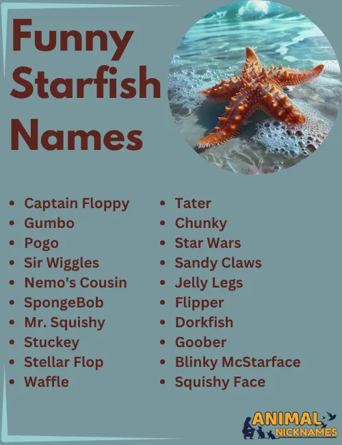 Funny Starfish Names