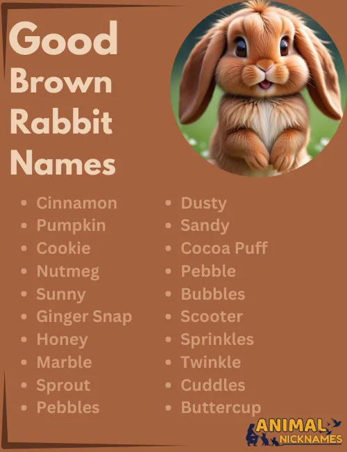 Good Brown Rabbit Names