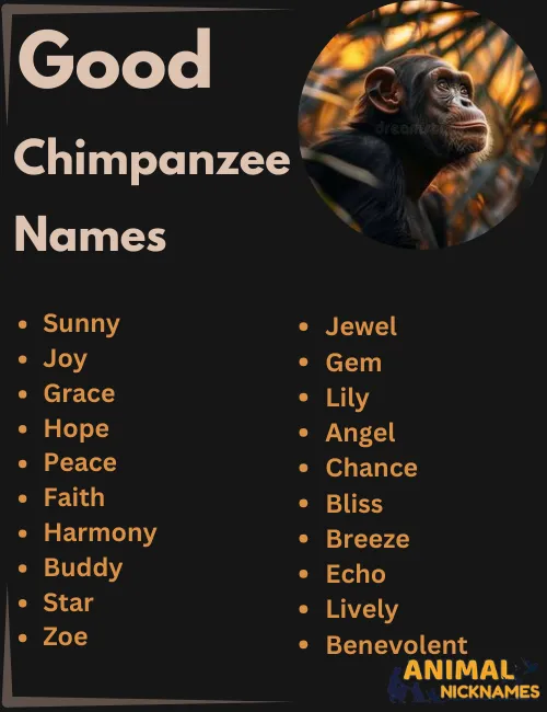 Good Chimpanzee Names