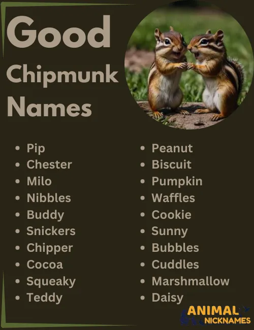 Good Chipmunk Names