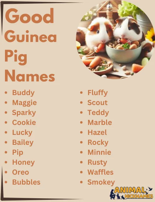 Good Guinea Pig Names