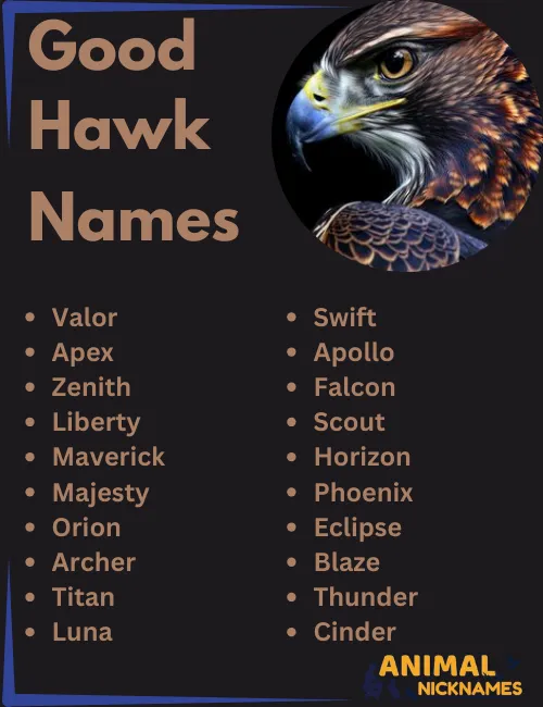 Good Hawk Names