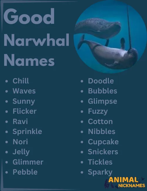 Good Narwhal Names