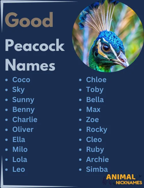 Good Peacock Names