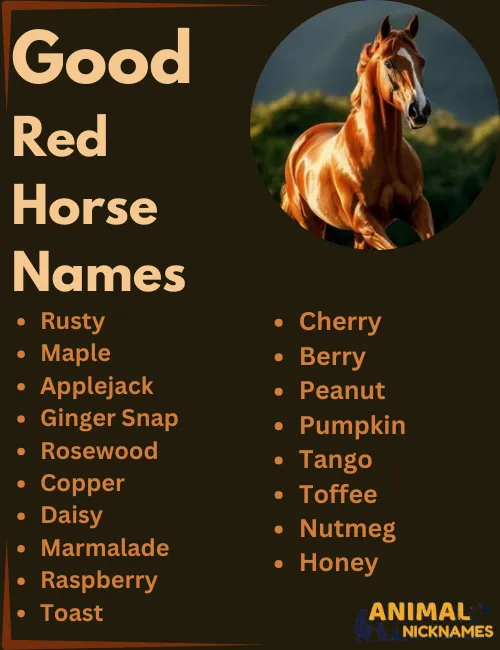 Good Red Horse Names