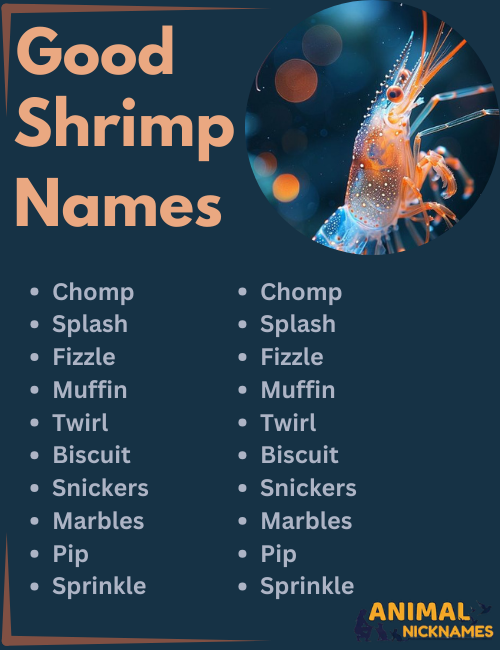 Good Shrimp Names