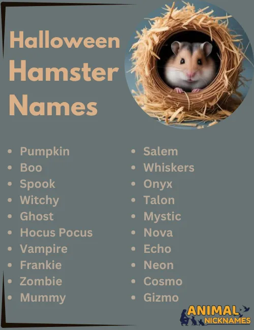 Halloween Hamster Names