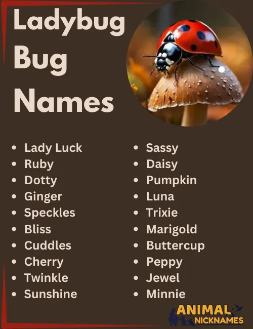 Lady Bug Names