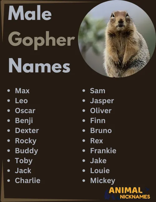 Male Gopher Names