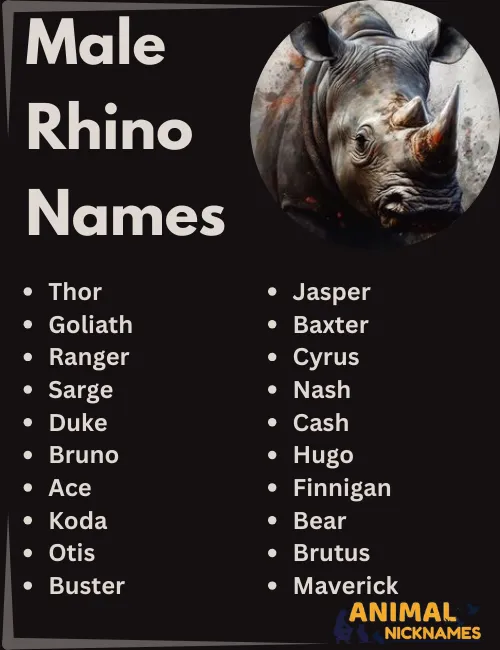 Male Rhino Names