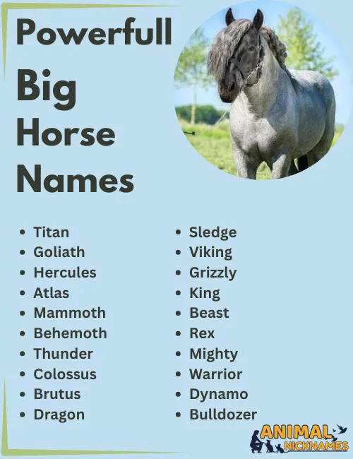 Powerful Big Horse Names