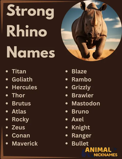 Strong Rhino Names