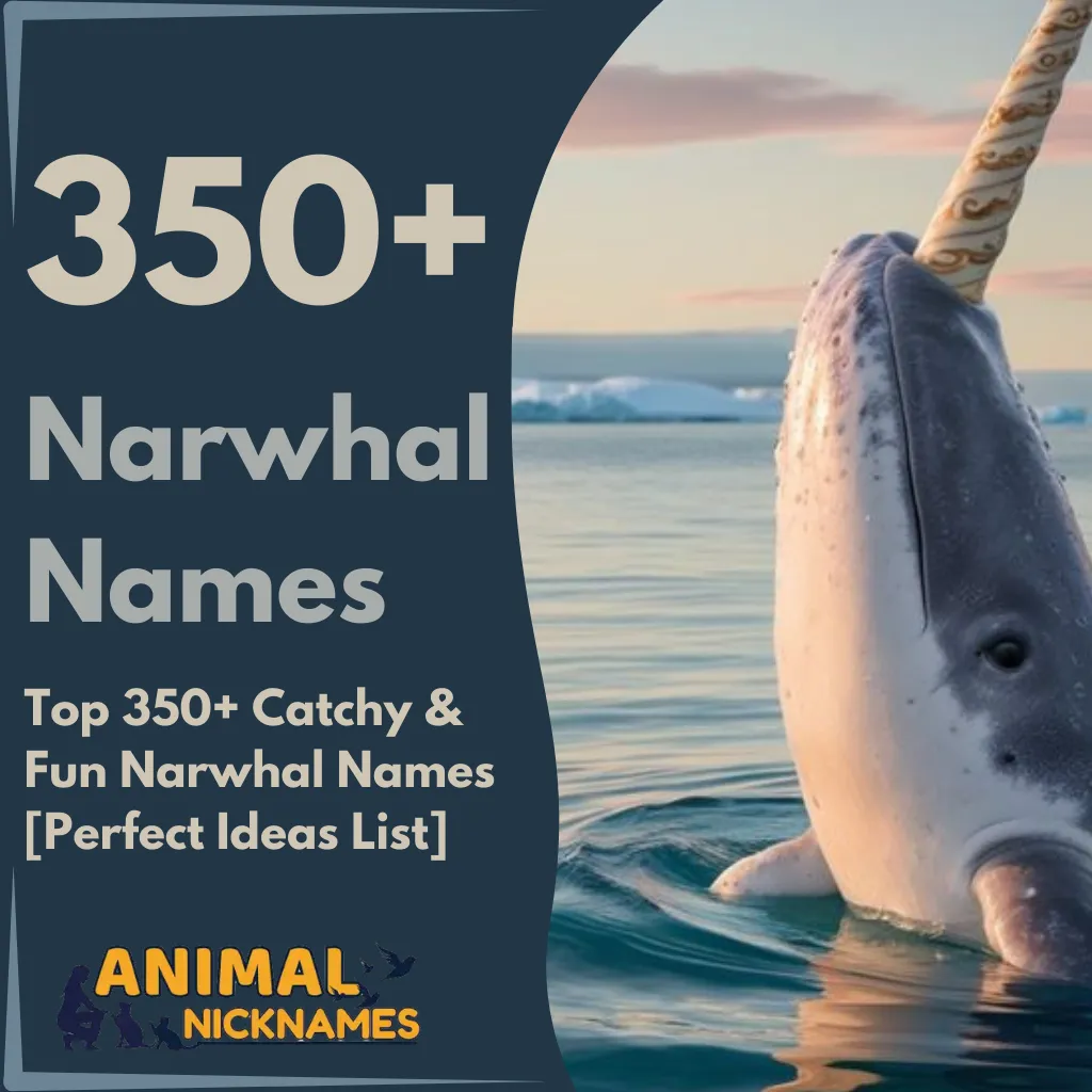 Top 350+ Catchy & Fun Narwhal Names [Perfect Ideas List]