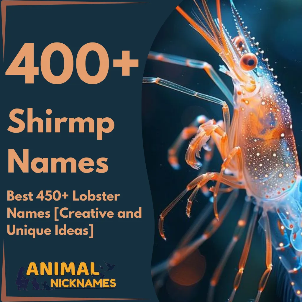 Top 400+ Shrimp Names for Your Tiny Aquatic Friend