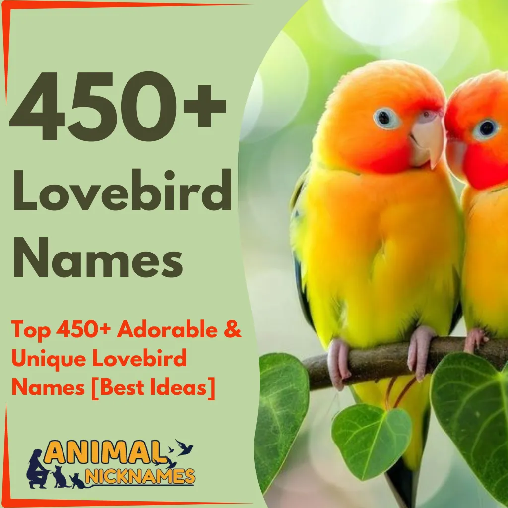 Top 450+ Adorable & Unique Lovebird Names [Best Ideas]