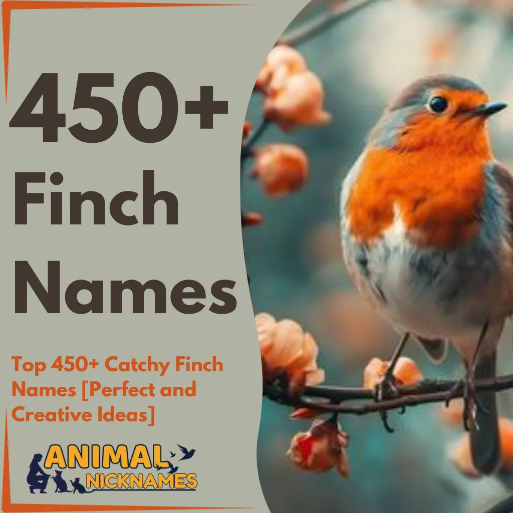 Top 450+ Catchy Finch Names [Perfect and Creative Ideas]