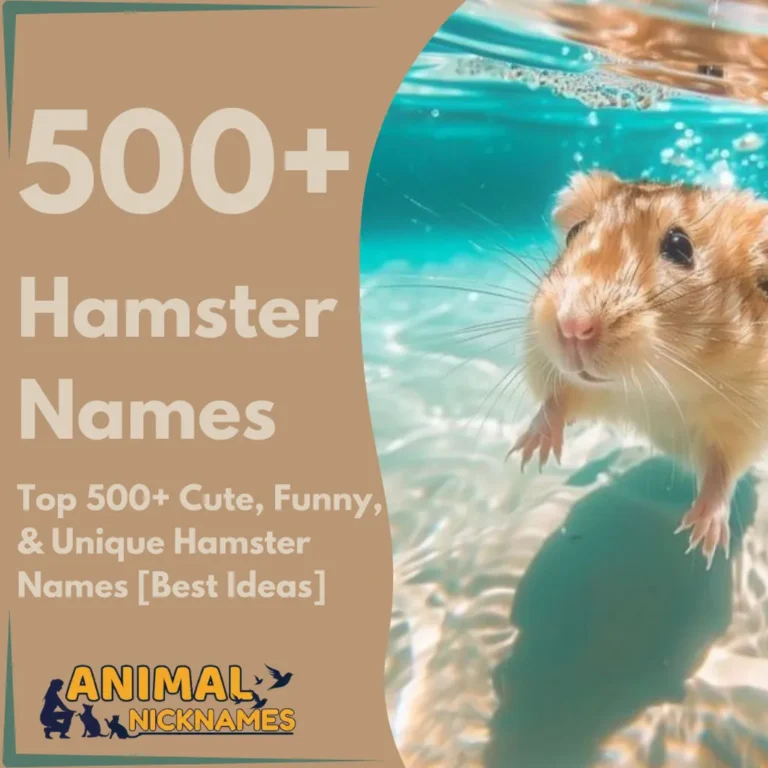 Top 500+ Cute, Funny, & Unique Hamster Names [Best Ideas]