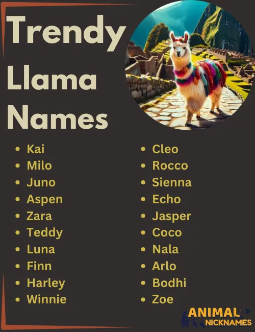 Trendy Llama Names