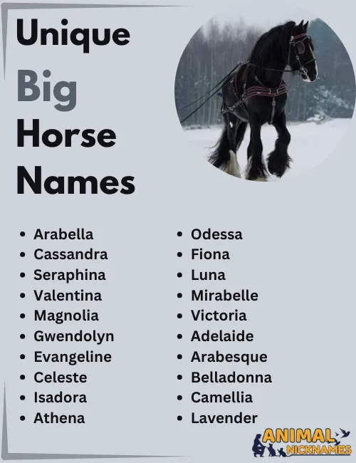 Unique Big Horse Names