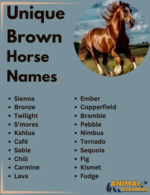 Unique Brown Horse Names