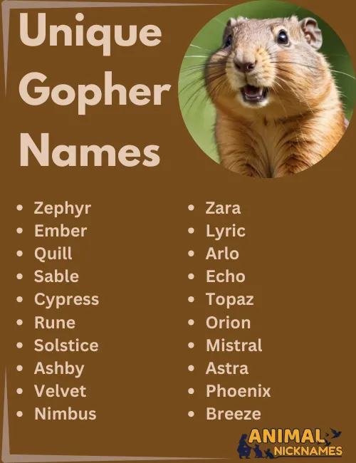 Unique Gopher Names