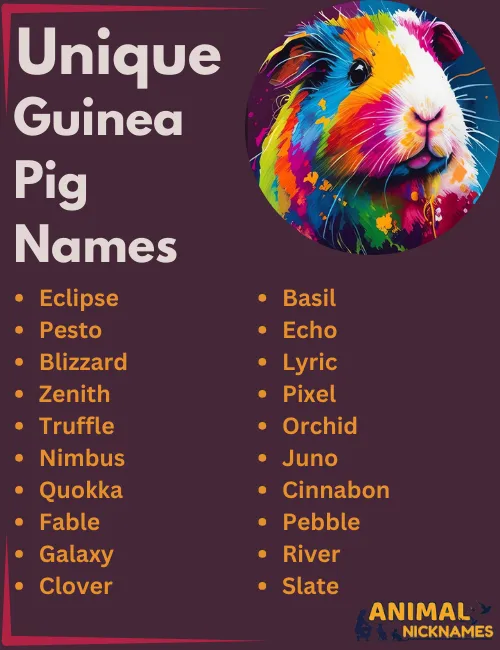 Unique Guinea Pig Names