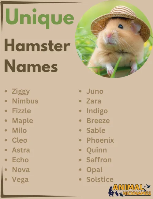 Unique Hamster Names