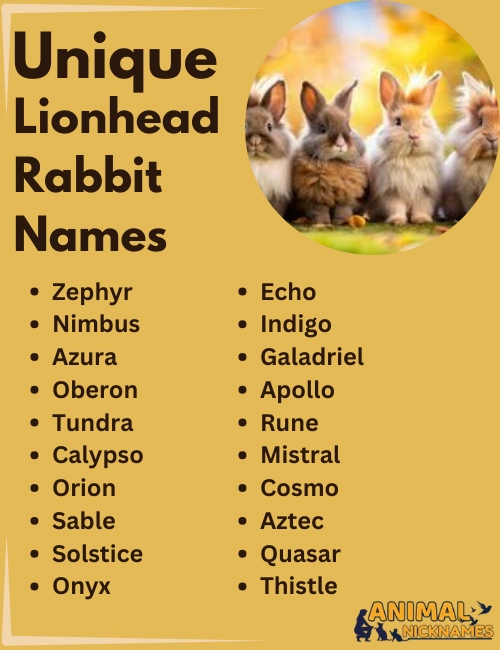 Unique Lionhead Rabbit Names