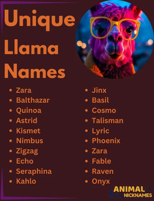 Unique Llama Names