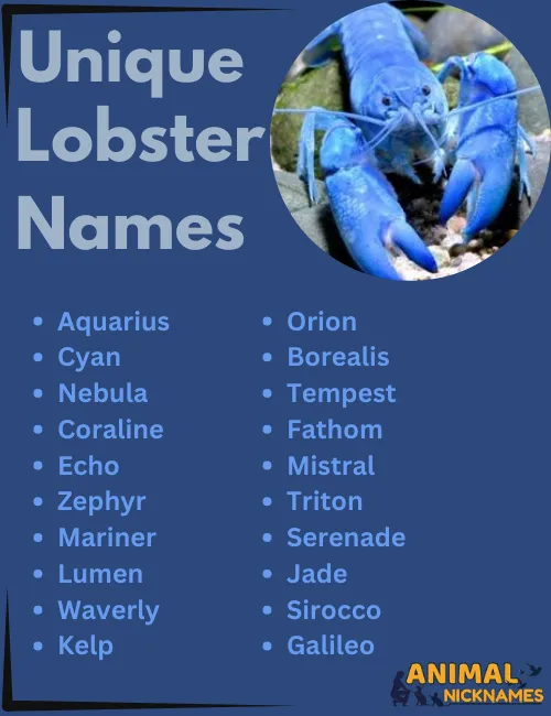 Unique Lobster Names