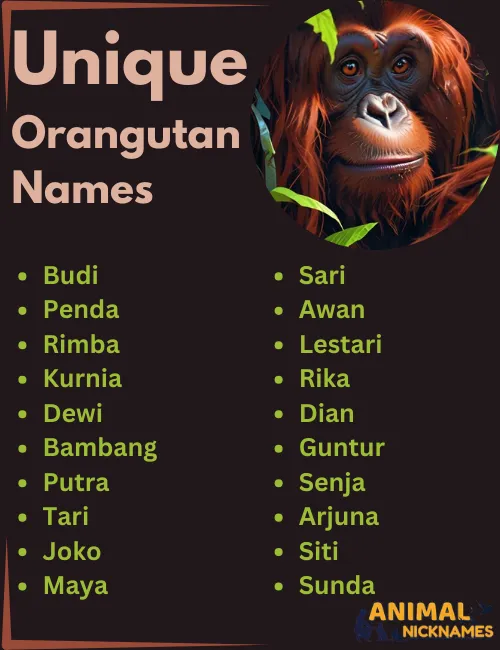 Unique Orangutan Names