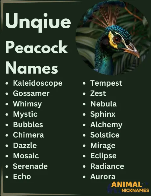 Unique Peacock Names