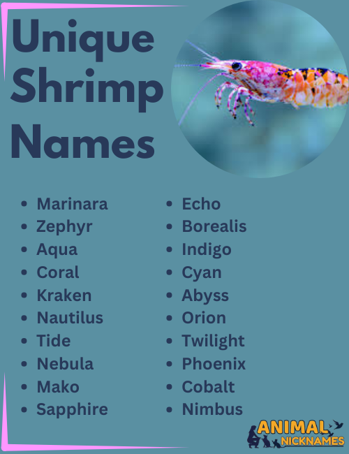 Unique Shrimp Names