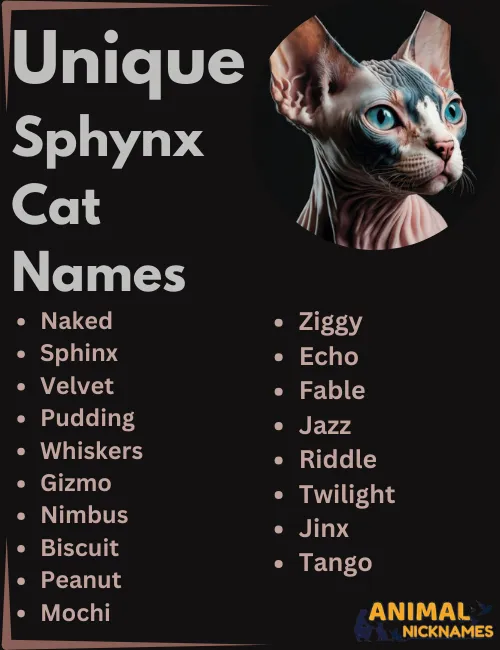 Unique Sphynx Names