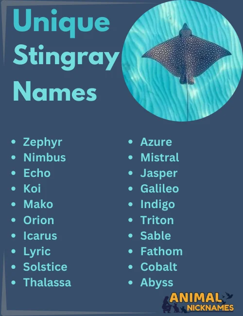 Unique Stingray Names