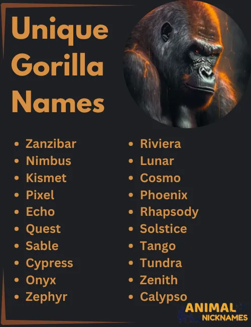 Unique Gorilla Names