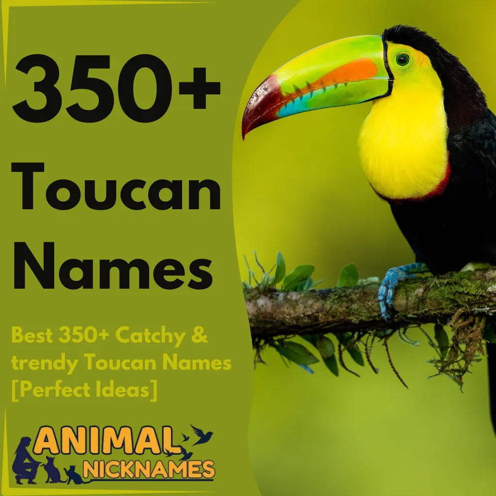 Best 350+ Catchy & trendy Toucan Names [Perfect Ideas]