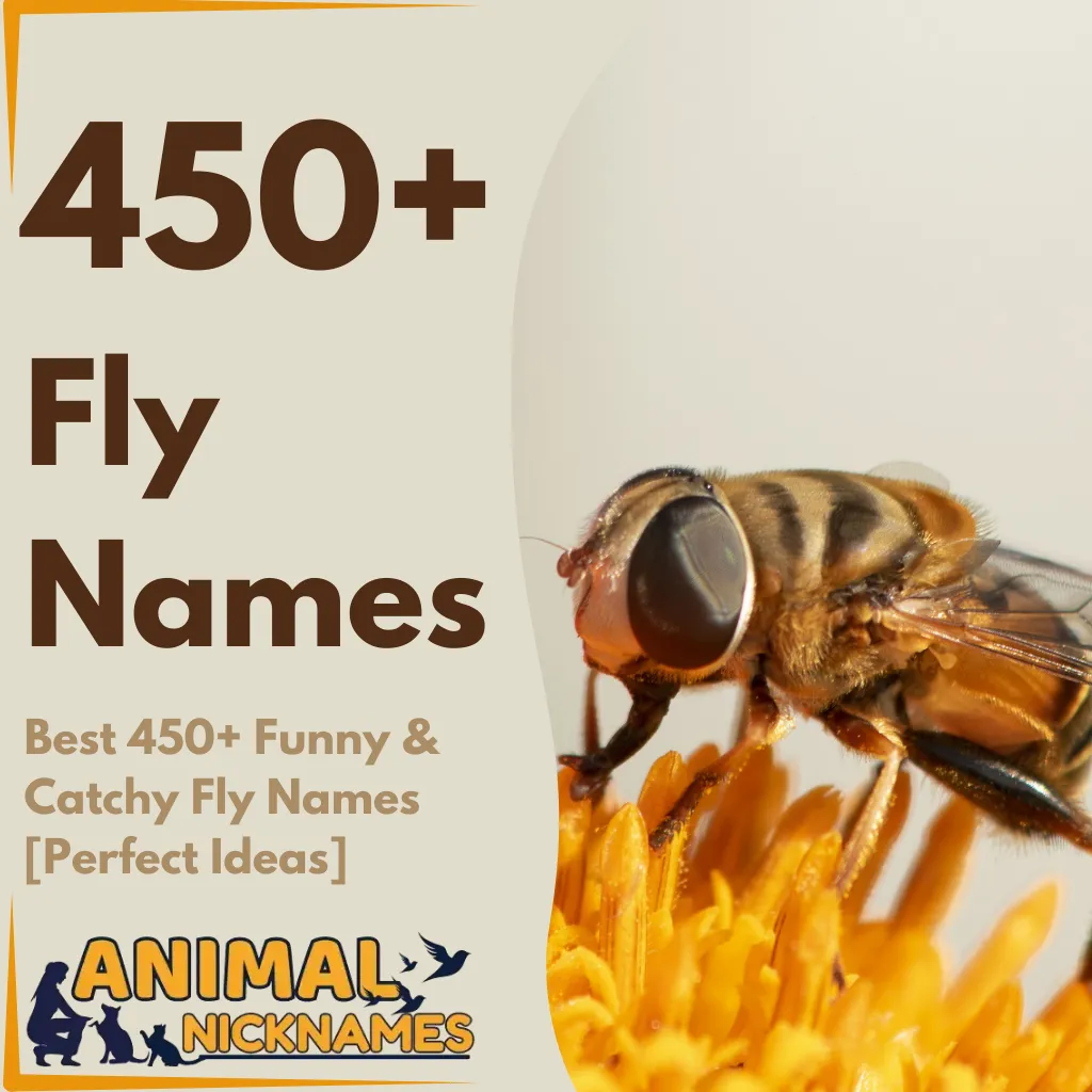 Best 450+ Funny & Catchy Fly Names [Perfect Ideas]