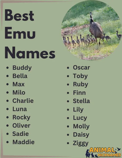 Best Emu Names