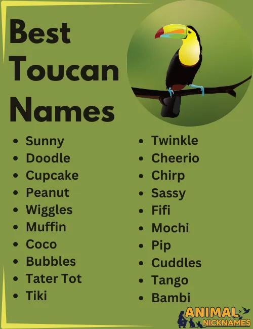 Best Toucan Names