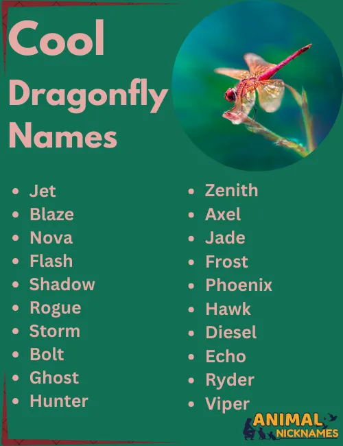 Cool Dragonfly Names