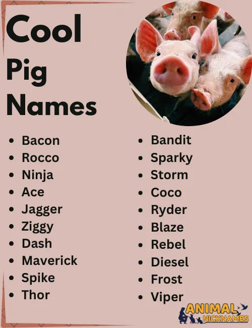 Cool Pig Names