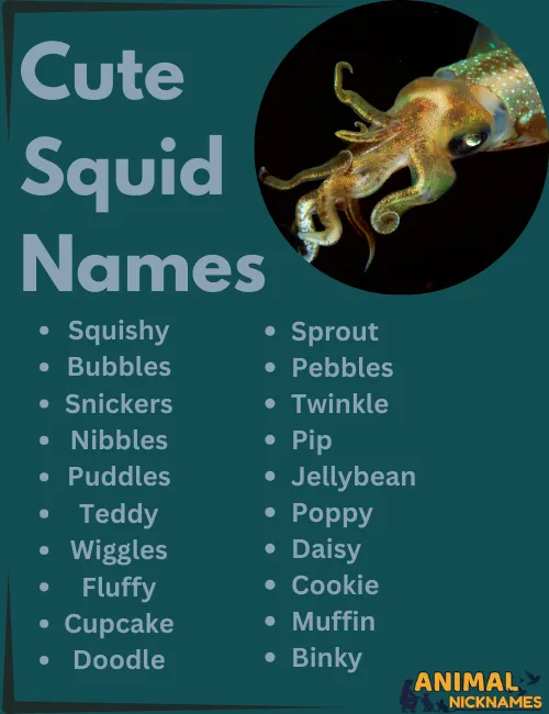 Cute Squid Names