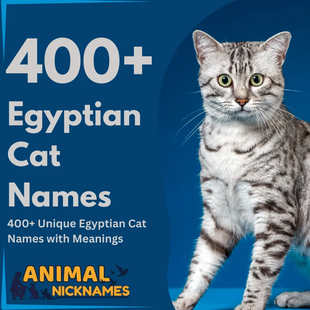 Egyptian Cat Names