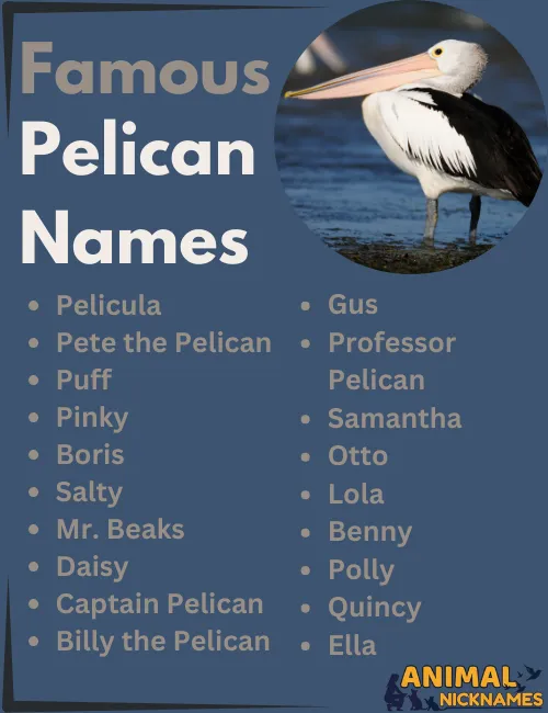 Famous Pelican Names