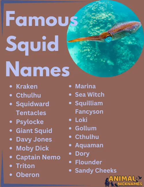 Famous Squid Names